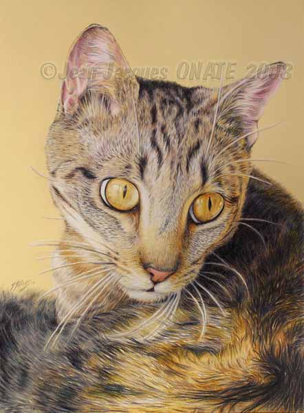 tableau de Titus surnomm l innocent, chat europen en portrait animalier
